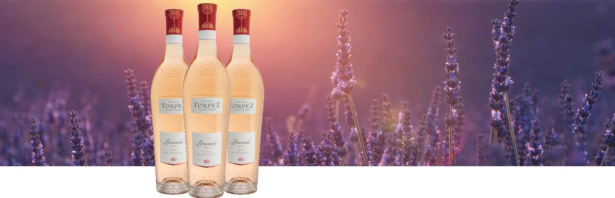 Kürbis & Wein