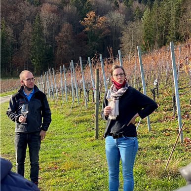 Zu Besuch bei "Saxer Weine & Aagne"