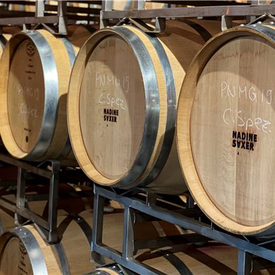 Zu Besuch bei "Saxer Weine & Aagne"