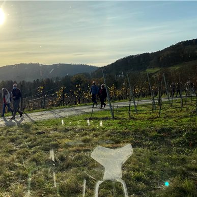 Zu Besuch bei "Saxer Weine & Aagne"