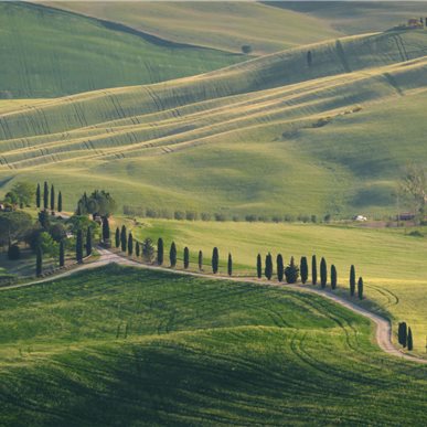 Wein- und Kulturreise Toskana (Fotocredits: Manfred Hinder)