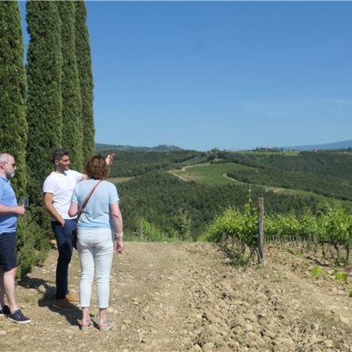 Wein- und Kulturreise Toskana (Fotocredits: Manfred Hinder)