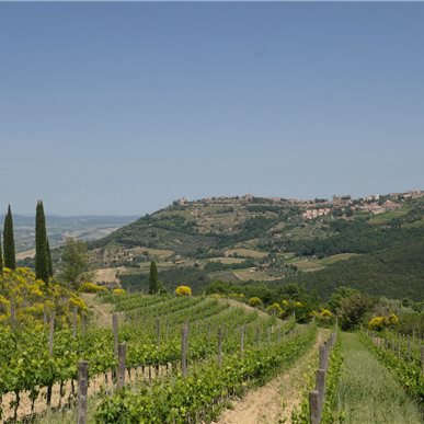 Wein- und Kulturreise Toskana (Fotocredits: Manfred Hinder)