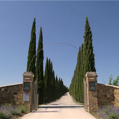 Wein- und Kulturreise Toskana (Fotocredits: Manfred Hinder)