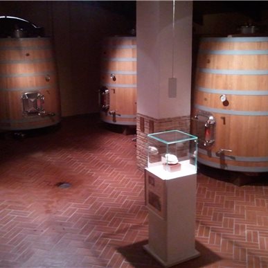Weingutbesuch: Zaccagnini, Abruzzen 2011 (Fotos H.Eiseler)
