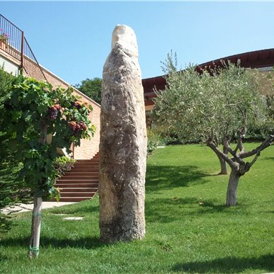 Weingutbesuch: Zaccagnini, Abruzzen 2011 (Fotos H.Eiseler)