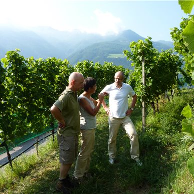 Weingutsbesuch: Castel Juval, Unterortl - Südtirol 2011