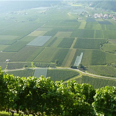 Weingutsbesuch: Castel Juval, Unterortl - Südtirol 2011