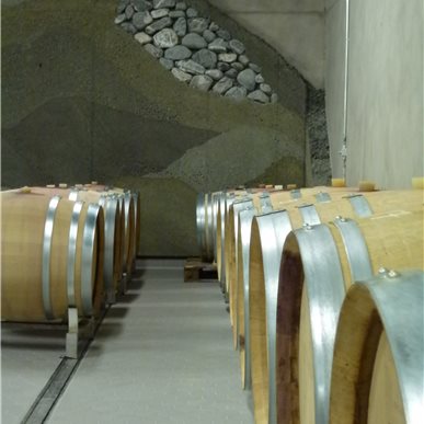 Weingutbesuch: Schloss Salenegg, Maienfeld 2012