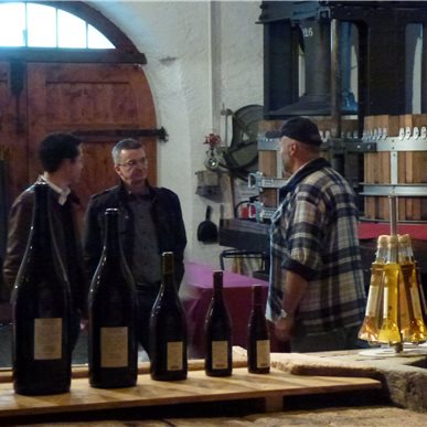 Weingutbesuch: Schloss Salenegg, Maienfeld 2012