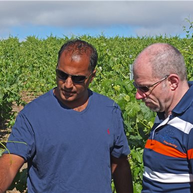 Weingutbesuch: Vina Robles, Paso Robles 2013