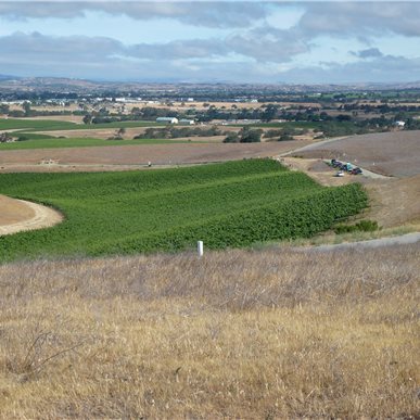 Weingutbesuch: Vina Robles, Paso Robles 2013