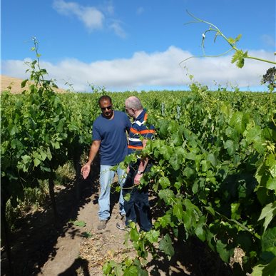 Weingutbesuch: Vina Robles, Paso Robles 2013