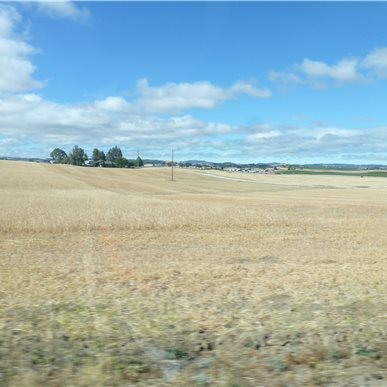 Weingutbesuch: Vina Robles, Paso Robles 2013