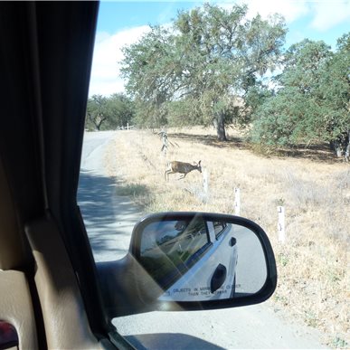 Weingutbesuch: Vina Robles, Paso Robles 2013