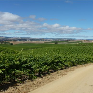 Weingutbesuch: Vina Robles, Paso Robles 2013