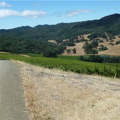 Weingutbesuch: Vina Robles, Paso Robles 2013