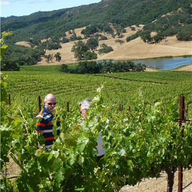 Weingutbesuch: Vina Robles, Paso Robles 2013