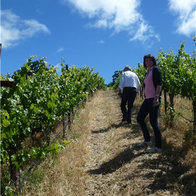 Weingutbesuch: Vina Robles, Paso Robles 2013