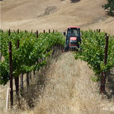 Weingutbesuch: Vina Robles, Paso Robles 2013