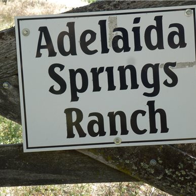 Weingutbesuch: Vina Robles, Paso Robles 2013