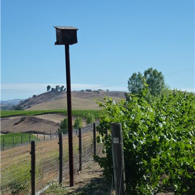 Weingutbesuch: Vina Robles, Paso Robles 2013