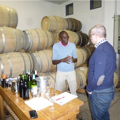 Weingutbesuch: Springfontein, Südafrika 2015