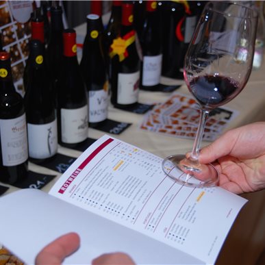 Favoriten & Entdeckungen 2017