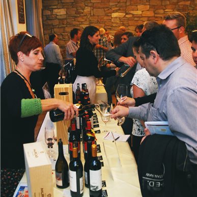 Favoriten & Entdeckungen 2017