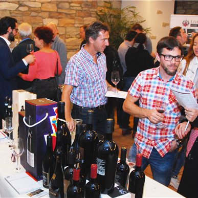 Favoriten & Entdeckungen 2017