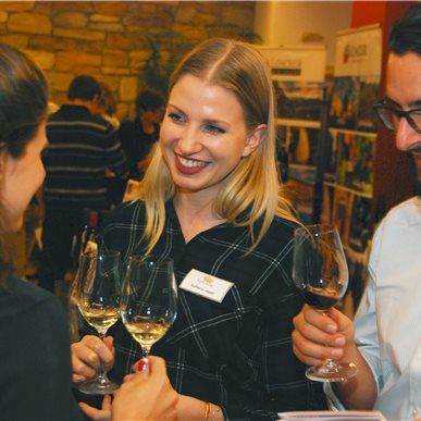 Favoriten & Entdeckungen 2017