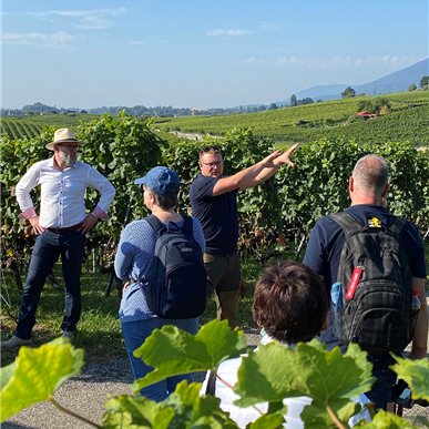 Zu Besuch bei "Château d'Auvernier"