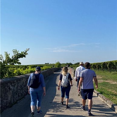 Zu Besuch bei "Château d'Auvernier"