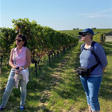 Zu Besuch bei "Château d'Auvernier"