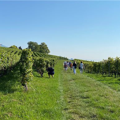 Zu Besuch bei "Château d'Auvernier"
