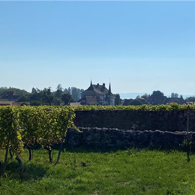 Zu Besuch bei "Château d'Auvernier"