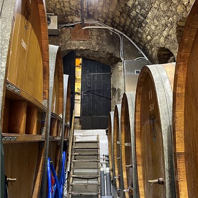 Zu Besuch bei "Château d'Auvernier"