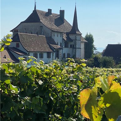 Zu Besuch bei "Château d'Auvernier"