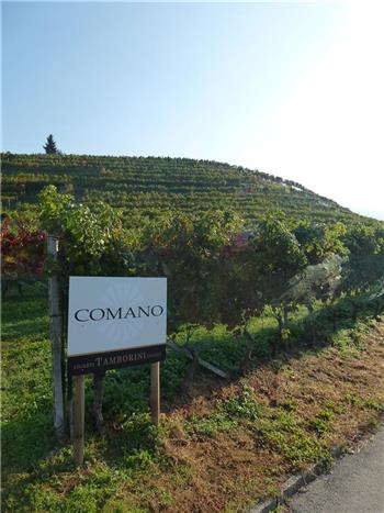 "Comano" Merlot Riserva DOC Ticino 2017